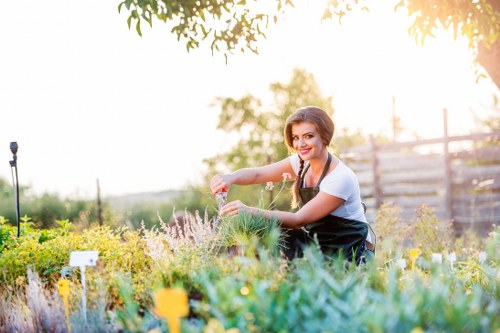 Transparent pricing for garden services in Harrow Weald