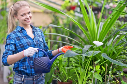 Seasonal gardening work in Harrow Weald with planting and lawn care