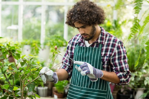 Gardener trimming a hedge in a residential Harrow Weald garden
