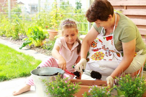 Healthy lawn care in Harrow Weald with neat green grass