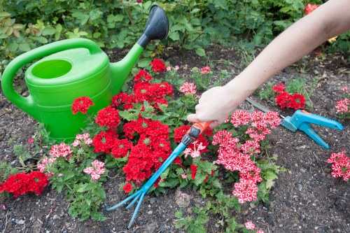 Safety inspection and planning for garden maintenance in Harrow Weald