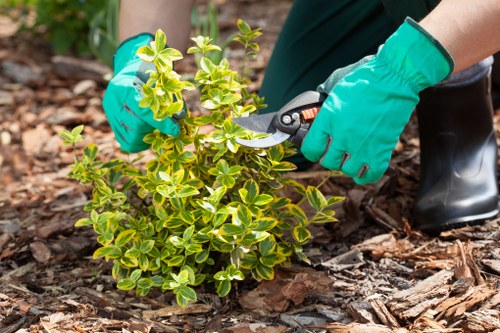 Gardening services in Harrow Weald improving outdoor space with planting and lawn care