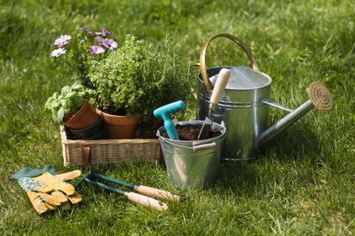 Professional hedge maintenance creating a tidy outdoor boundary