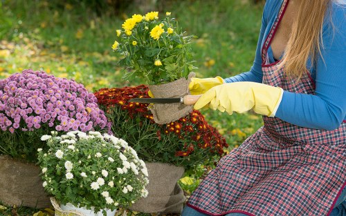 Harrow Weald gardening services for healthy planting and pruning