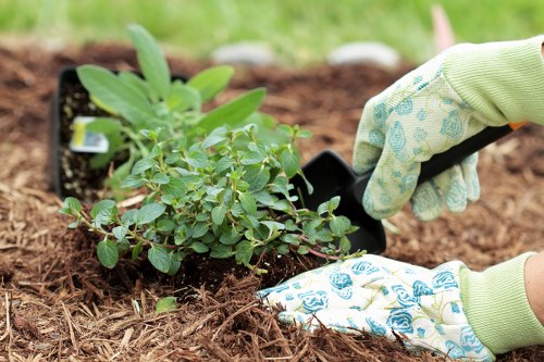 Safety-focused gardening team planning tasks before work begins