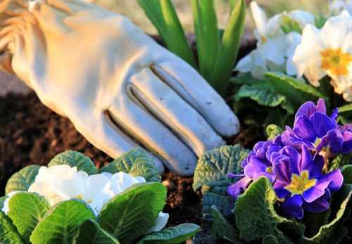 Local gardener in Harrow Weald maintaining a tidy residential garden