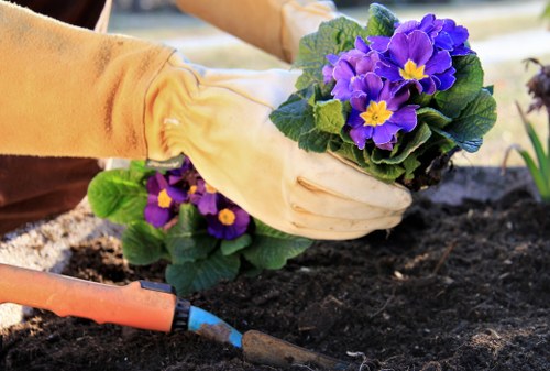Local transfer station handling green waste from gardening work