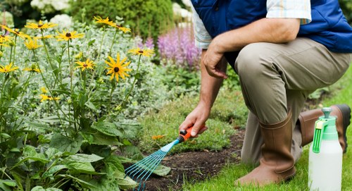 Garden service team assessing a customer concern carefully