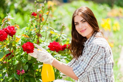 Experienced Gardeners Harrow Weald creating a well-kept outdoor space