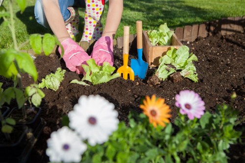 Professional gardening services in Harrow Weald for hedge trimming and plant care