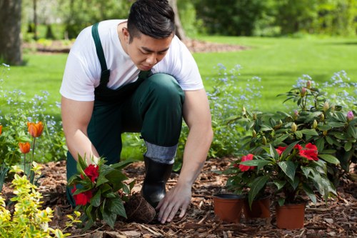 Sustainable recycling and waste separation for local garden maintenance