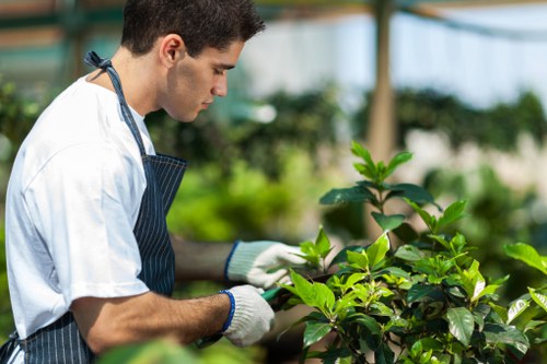 Payment and cancellation terms for gardening services