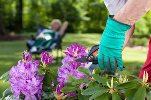 Professional gardener resolving a service issue through review