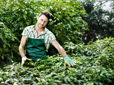 About Us Gardeners Harrow Weald providing thoughtful garden care