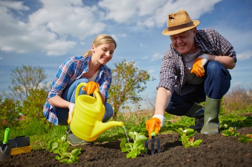 Soft landscaping in Harrow Weald with lawn, shrubs, and garden beds