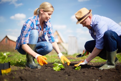 Full garden maintenance and cleanup in Harrow Weald