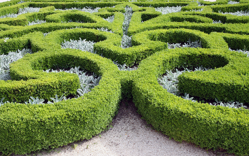 garden maintenance Garden design